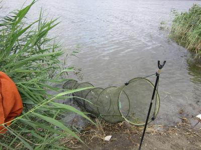 Прикрепленное изображение: IMG_0124.JPG